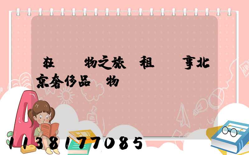 狂歡購物之旅：租車暢享北京奢侈品購物廣場