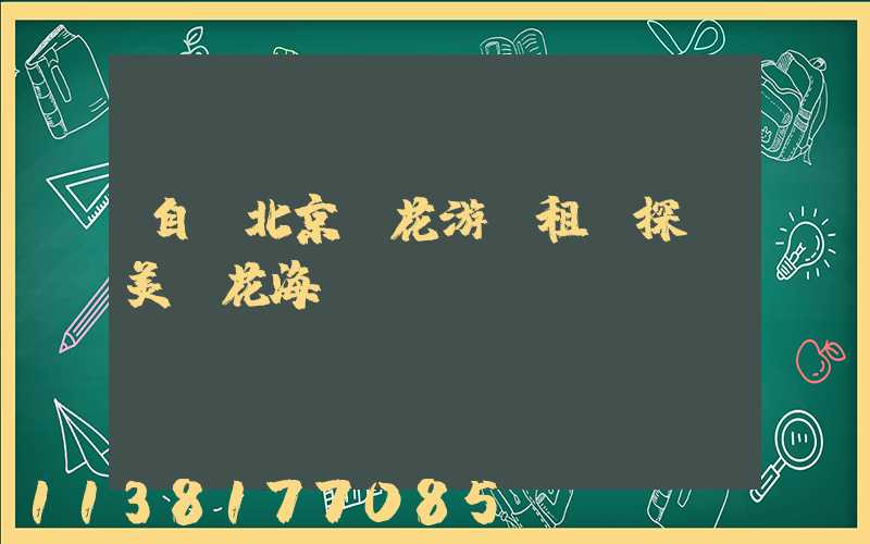 自駕北京賞花游：租車探訪美麗花海