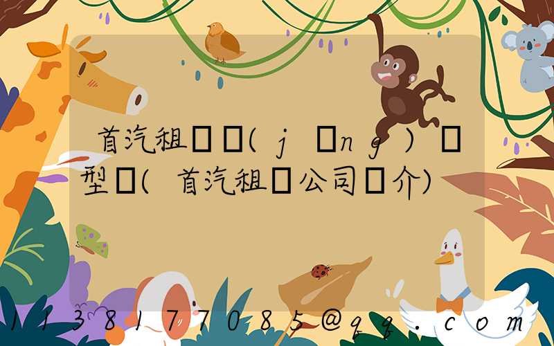 首汽租車經(jīng)濟型車(首汽租車公司簡介)